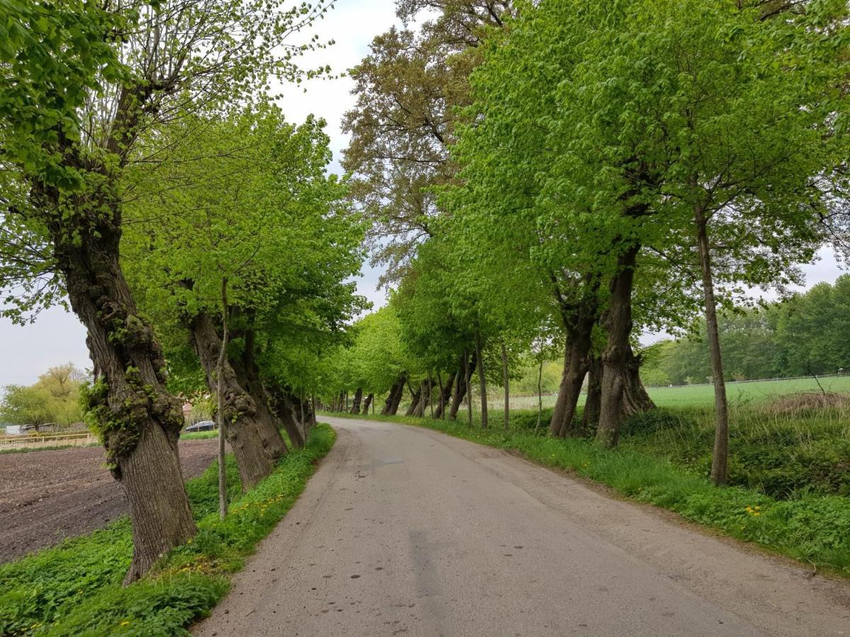 Ferienwohnung Varus Ostercappeln Kültér fotó