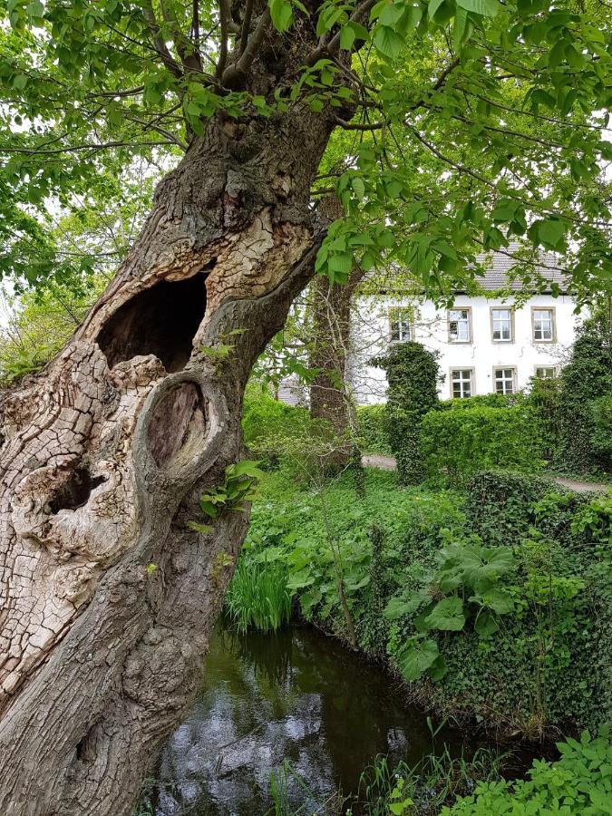 Ferienwohnung Varus Ostercappeln Kültér fotó